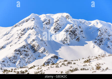 Berge, bedeckt mit frischem Schnee in Winterlandschaft der Rohace Tal, hohen Tatra, Slowakei Stockfoto