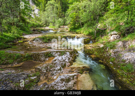 Ötschergräben, Fluss, Ötscherbach, Canyon, Naturpark Ötscher Tormäuer, Mostviertel, Niederösterreich, Österreich Stockfoto