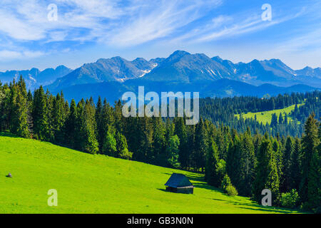 Blick auf die Tatra-Gebirge im Sommer, Polen Stockfoto