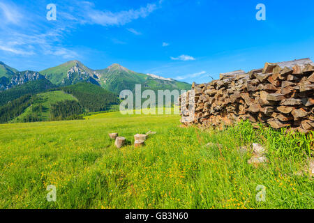 Haufen von Holz auf der grünen Wiese mit blühenden Blumen im Sommerlandschaft der hohen Tatra, Slowakei Stockfoto