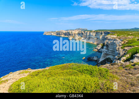 Ein Blick auf Bonifacio Altstadt gebaut auf hohen Felsen über dem Meer, Korsika, Frankreich Stockfoto