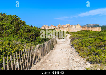 Küstenweg zur Altstadt Bonifacio, Korsika, Frankreich Stockfoto