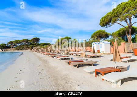 Sonnenliegen auf sandigen Palombaggia Strand, Korsika, Frankreich Stockfoto