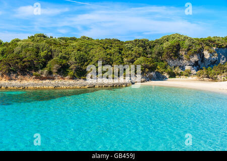 Wunderschönen türkisfarbenen Meer auf Petit Sperone Traumstrand, Korsika, Frankreich Stockfoto