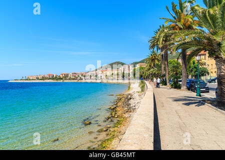 Strandpromenade mit Palmen in der Stadt Ajaccio, Korsika, Frankreich Stockfoto