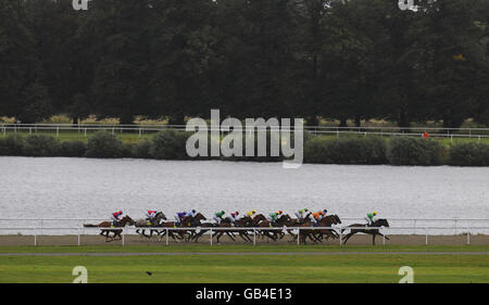 Premio Loco und George Baker (orange) sitzen auf den Schienen hinten geradeaus, bevor sie die totescoop6 London Mile Heritage Handicap Stakes auf der Kempton Park Racecourse, Middlesex, gewinnen. Stockfoto