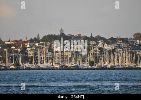 Segelboote im Yachthafen in Auckland Stockfoto