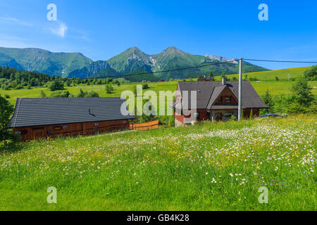 Holzhäuser auf grüner Wiese mit Tatry Bielskie Bergen im Hintergrund im Sommer, Slowakei