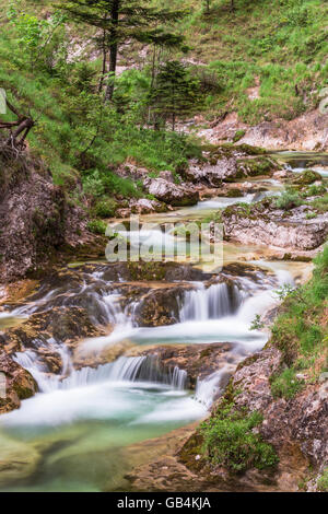 Ötschergräben, Fluss, Ötscherbach, Canyon, Naturpark Ötscher Tormäuer, Mostviertel, Niederösterreich, Österreich Stockfoto