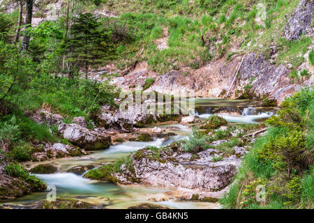 Ötschergräben, Fluss, Ötscherbach, Canyon, Naturpark Ötscher Tormäuer, Mostviertel, Niederösterreich, Österreich Stockfoto