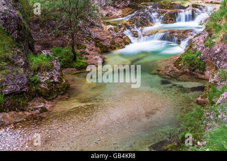 Ötschergräben, Fluss, Ötscherbach, Canyon, Naturpark Ötscher Tormäuer, Mostviertel, Niederösterreich, Österreich Stockfoto