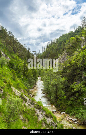 Ötschergräben, Fluss, Ötscherbach, Canyon, Naturpark Ötscher Tormäuer, Mostviertel, Niederösterreich, Österreich Stockfoto