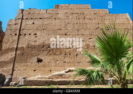 Basrelief in Karnak-Tempel, Karnak, Luxor, Ägypten Stockfoto