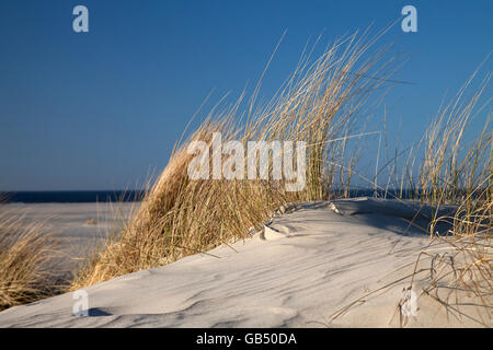 Dünen an einem Sandstrand, Insel Spiekeroog, Nationalpark Wattenmeer, Nordsee Küste, Ostfriesland, Niedersachsen Stockfoto