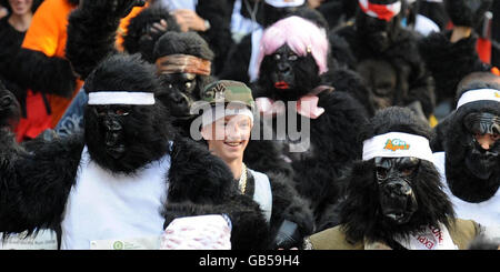 Einige der Hunderte von Menschen, die als Gorillas gekleidet waren, während eines Benefizrennens, um Geld für bedrohte Tiere zu sammeln, beginnend und enden im London Underwriting Centre, abseits der Mincing Lane, London. Stockfoto