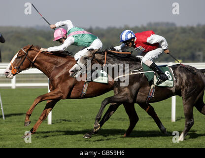 Pferderennen Sie - Sony Ascot Festivaltag - Ascot Racecourse Stockfoto