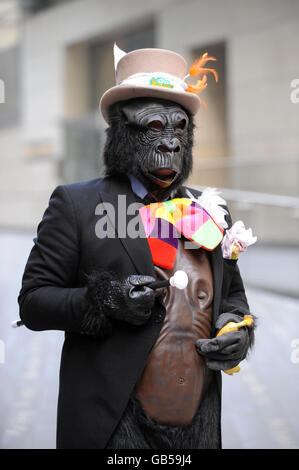 Der große Gorilla-Lauf Stockfoto