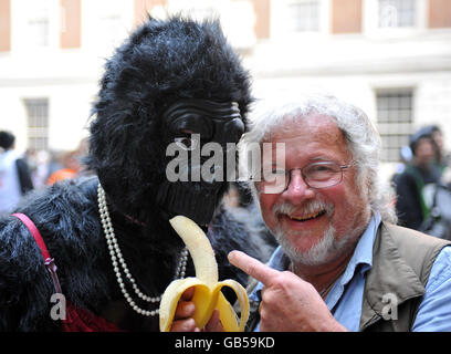 Der große Gorilla-Lauf Stockfoto