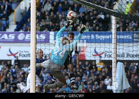 Fußball - Barclays Premier League - Everton V Newcastle United - Goodison Park Stockfoto
