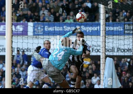 Fußball - Barclays Premier League - Everton V Newcastle United - Goodison Park Stockfoto