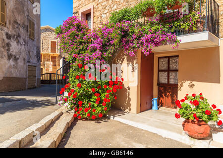 Eingang zum typischen Haus verziert mit Blumen im Dorf Piana, Korsika, Frankreich Stockfoto