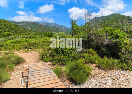 Holzsteg am Bergweg in Girolata-Bucht, Insel Korsika, Frankreich Stockfoto