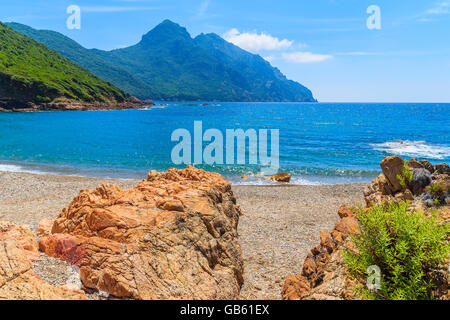 Schönen einsamen Strand mit azurblauen Meerwasser in der Nähe von Girolata-Bucht, Insel Korsika, Frankreich Stockfoto