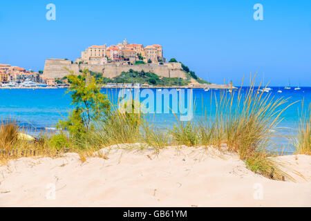 Grüner Rasen auf Sand Düne am Strand mit unscharfen alte Stadt von Calvi im Hintergrund, Korsika, Frankreich Stockfoto