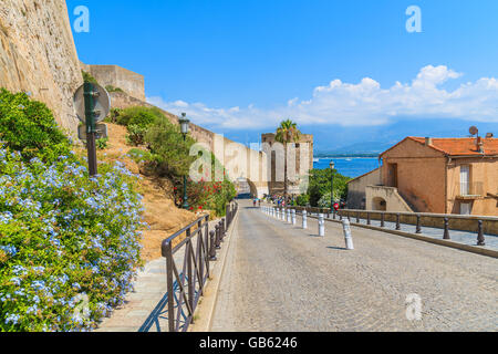 Straße von Zitadelle Gebäude in Calvi Stadt führt zum Hafen, Insel Korsika, Frankreich Stockfoto