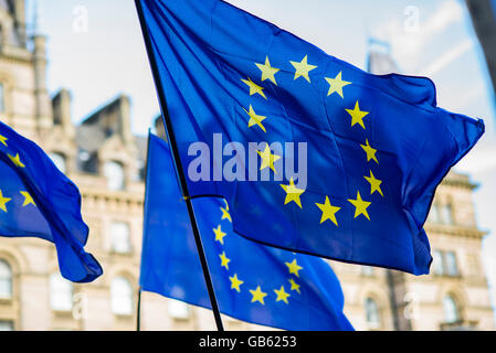 EU-Flaggen an einem pro EU-Demonstration in Liverpool UK anti brexit Stockfoto