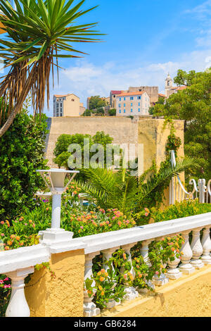 Blick auf Calvi Stadt öffentliche Promenade Garten, Korsika, Frankreich Stockfoto