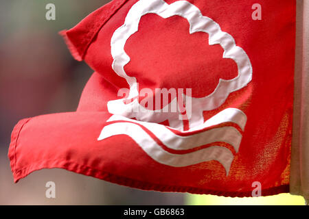 Fußball - Coca-Cola Football League Championship - Nottingham Forest V Crystal Palace - City Ground Stockfoto