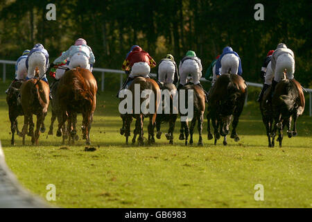 Horse Racing - Trinidad & Tobago Tag - Pontefract Stockfoto