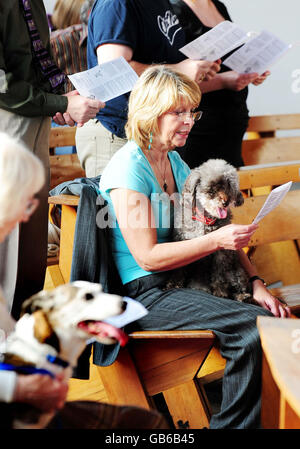 Tierbesitzer mit ihren Haustieren während eines besonderen Gottesdienstes zur Anerkennung des heiligen Franziskus von Assisi in der St. John the Baptist Church, Lincoln. Stockfoto