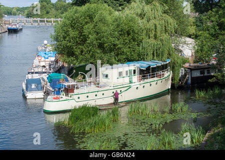 Haus-Boote vertäut am Ufer der Themse, Runnymede, Surrey, England, Vereinigtes Königreich Stockfoto