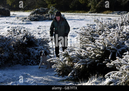 Ein morgendlicher Spaziergänger mit seinem Hund im Schnee in Sutton Park, Sutton Coldfield, West Midlands. Stockfoto