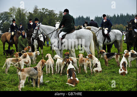 Huntmaster Ian Farquhar (Mitte) mit Jagdgefährten und Jagdhunden der Beaufort-Jagd in Gloucestershire am ersten Wochenende der neuen Jagdsaison. Stockfoto