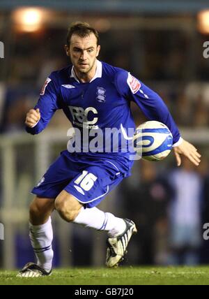 Fußball - Coca-Cola Football League Championship - Birmingham City / Coventry City - St. Andrews' Stadium. James McFadden, Birmingham City Stockfoto