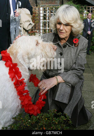 Die Herzogin von Cornwall legt einem Hund während einer Wohltätigkeitsfeier des nepalesischen "Day of the Dog" im Garten der Royal Over Seas League in London eine Girlande auf. Stockfoto