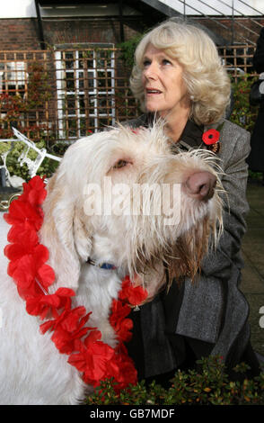 Die Herzogin von Cornwall legt einem Hund während einer Wohltätigkeitsfeier des nepalesischen "Day of the Dog" im Garten der Royal Over Seas League in London eine Girlande auf. Stockfoto