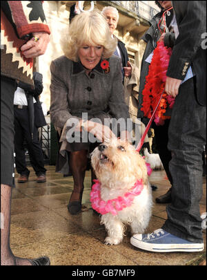 Die Herzogin von Cornwall streichelt einen Hund während einer Wohltätigkeitsfeier des nepalesischen "Tag des Hundes" im Garten der Royal Over Seas League in London. Stockfoto