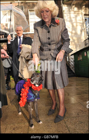 Die Herzogin von Cornwall bei einer Wohltätigkeitsfeier des nepalesischen "Tag des Hundes" im Garten der Royal Over Seas League in London. Stockfoto