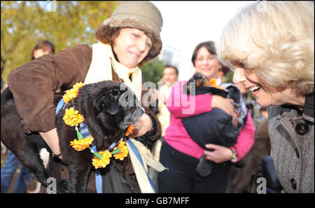 Die Herzogin von Cornwall Hund bei einer Wohltätigkeitsfeier des nepalesischen "Tag des Hundes" im Garten der Royal Over Seas League in London. Stockfoto