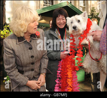 Die Herzogin von Cornwall bei einer Wohltätigkeitsfeier des nepalesischen "Tag des Hundes" im Garten der Royal Over Seas League in London. Stockfoto