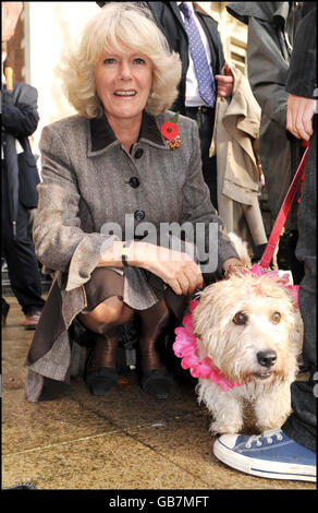 Die Herzogin von Cornwall streichelt einen Hund während einer Wohltätigkeitsfeier des nepalesischen "Tag des Hundes" im Garten der Royal Over Seas League in London. Stockfoto