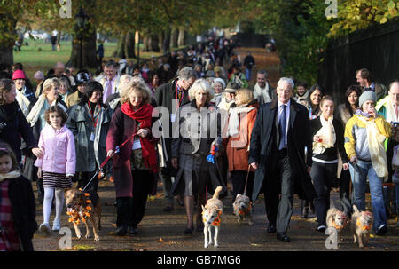 Die Herzogin von Cornwall spaziert Manila, einen Straßenhund, während einer Wohltätigkeitsfeier des nepalesischen 'Tag des Hundes' im Green Park in London. Stockfoto