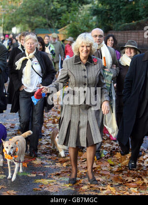 Die Herzogin von Cornwall spaziert Manila, einen Straßenhund, während einer Wohltätigkeitsfeier des nepalesischen 'Tag des Hundes' im Green Park in London. Stockfoto