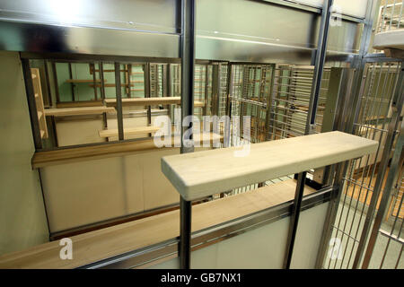 Ein Primatenzimmer im neuen Biomedical Sciences Building der Universität Oxford. Stockfoto