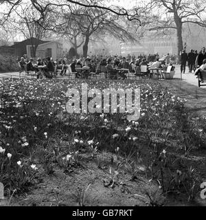 Wetter - Frühling Szenen - Victoria Embankment Gardens - 1965 Stockfoto