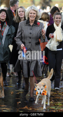 Die Herzogin von Cornwall spaziert Manila, einen Straßenhund, während einer Wohltätigkeitsfeier des nepalesischen 'Tag des Hundes' im Green Park in London. Stockfoto